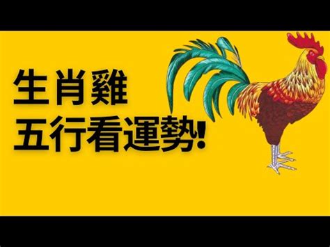 屬雞 姓名|生肖屬雞的個性、守護神、生肖姓名學取用法則與忌用字庫－芷蘭。